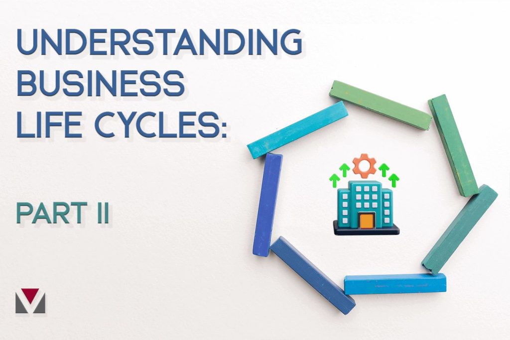 Understanding Business Life Cycles: Part II