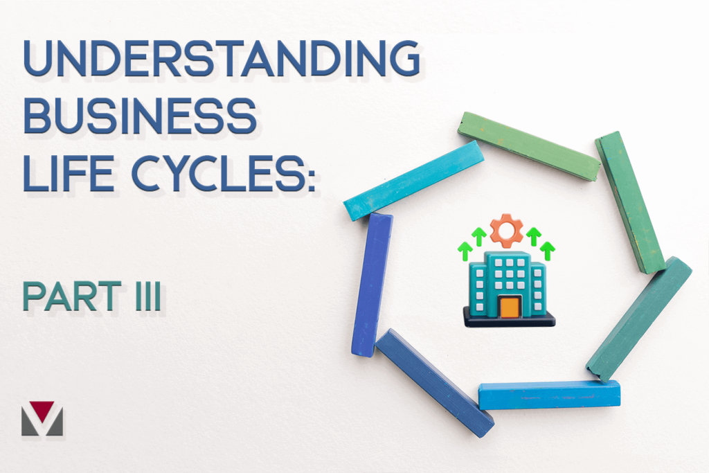 Understanding Business Life Cycles: Part III